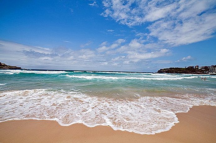 top beaches in sydney australia | موسوعة الشرق الأوسط