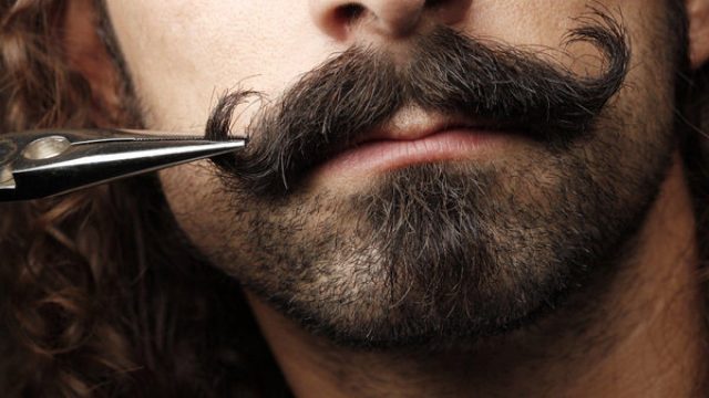 trim and size mustache line 1200x800 | موسوعة الشرق الأوسط