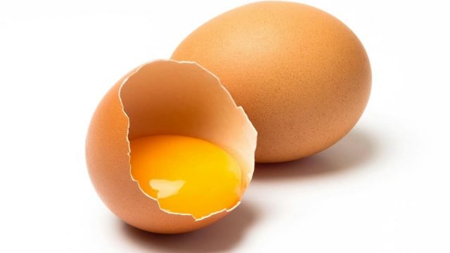 uses for egg yolks x1 | موسوعة الشرق الأوسط