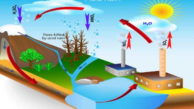 what is acid rain | موسوعة الشرق الأوسط