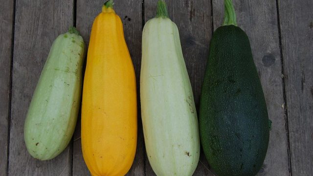 zucchini 1637435 960 720 | موسوعة الشرق الأوسط