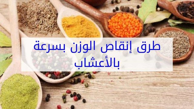 إنقاص الوزن بالأعشاب | موسوعة الشرق الأوسط