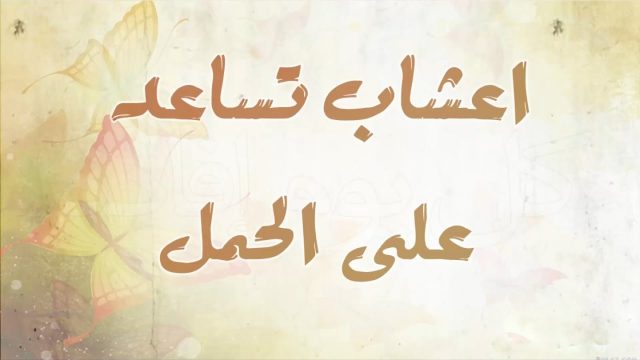 اعشاب تساعد على الحمل وتنشيط المبايض | موسوعة الشرق الأوسط