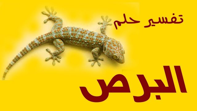 البريعصي في الحلم | موسوعة الشرق الأوسط