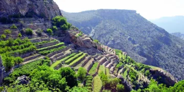 الجبل الاخضر | موسوعة الشرق الأوسط