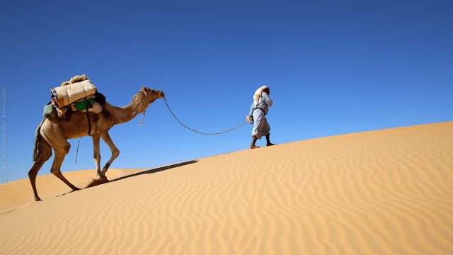 الجعيد وش يرجع‎ | موسوعة الشرق الأوسط