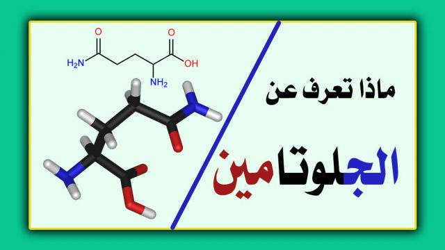 الجلوتامين1 | موسوعة الشرق الأوسط