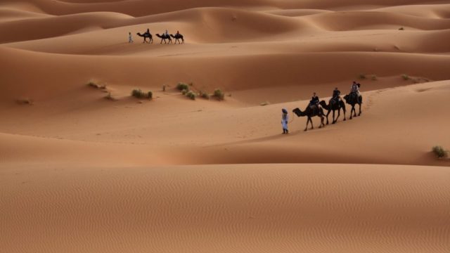 الخرعان من اي قبيله | موسوعة الشرق الأوسط