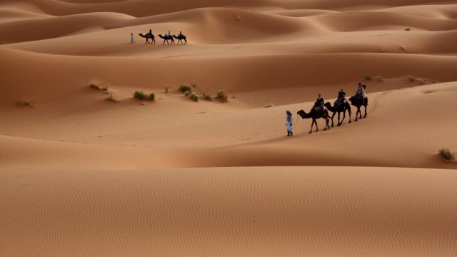 الزبيدي وش يرجع | موسوعة الشرق الأوسط