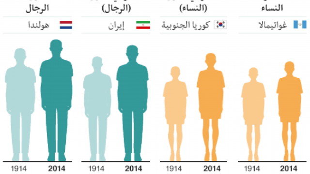 الطول المثالي | موسوعة الشرق الأوسط