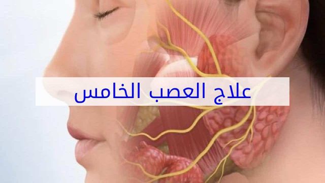 العصب الخامس | موسوعة الشرق الأوسط