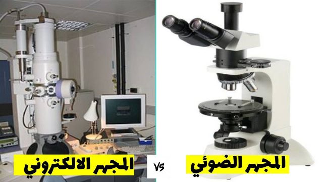 الفرق بين المجهر الضوئي والالكتروني | موسوعة الشرق الأوسط