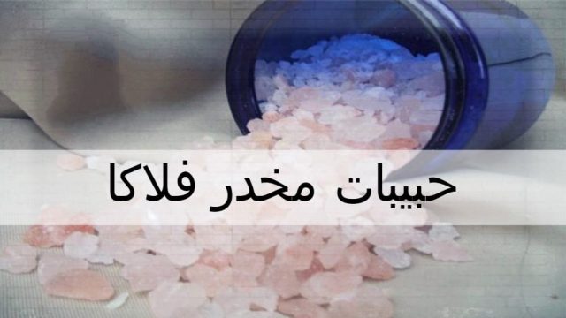 الفلاكا | موسوعة الشرق الأوسط