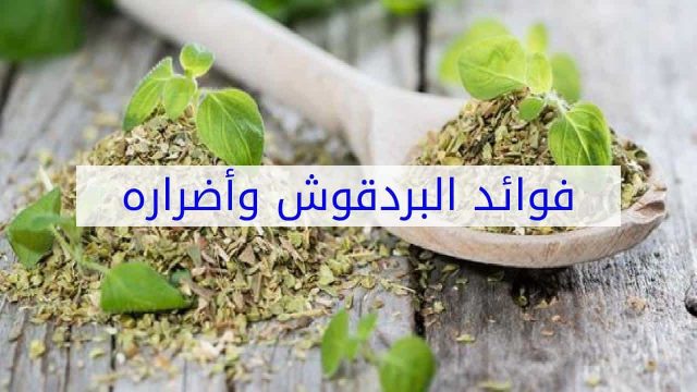 الفوائد العامة لعشبة البردقوش | موسوعة الشرق الأوسط