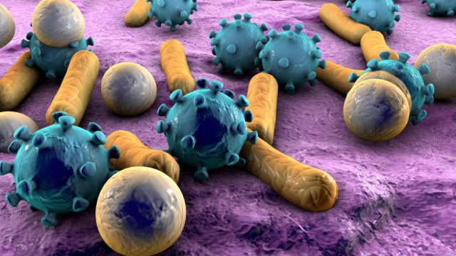 بحث عن الفيروسات والبكتيريا واضراها | موسوعة الشرق الأوسط