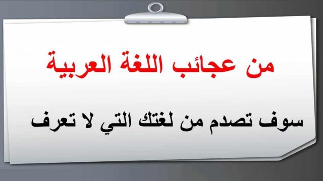 بحث عن اللغة العربية 1 | موسوعة الشرق الأوسط