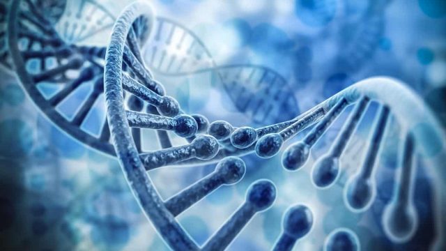 بحث عن المادة الوراثية dna1 | موسوعة الشرق الأوسط