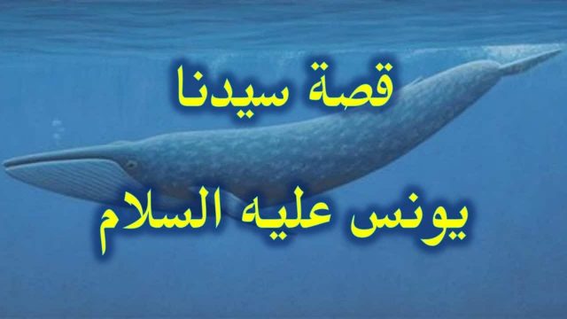 بحث عن قصة نبي ورد ذكره في القرآن الكريم1 | موسوعة الشرق الأوسط