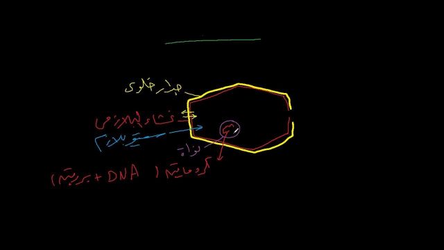 تركيب صلب يدعم ويحمي الخليه النباتيه | موسوعة الشرق الأوسط