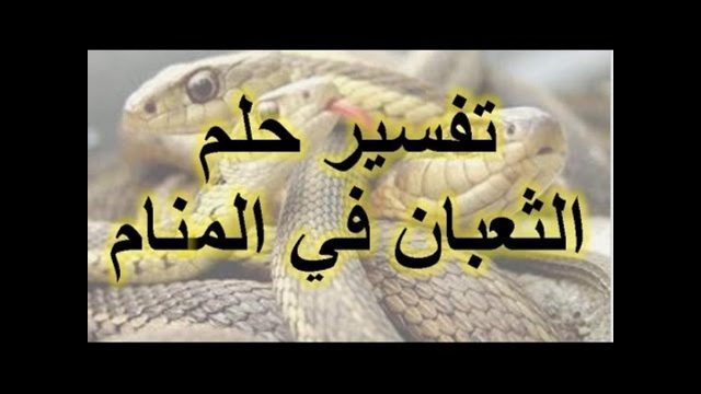 تفسير ضرب الثعبان في المنام | موسوعة الشرق الأوسط