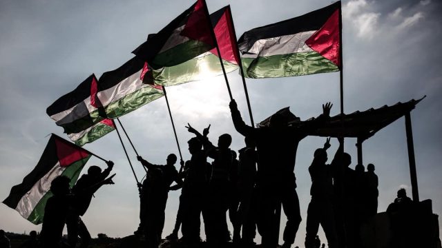 تقرير عن قضية فلسطين | موسوعة الشرق الأوسط