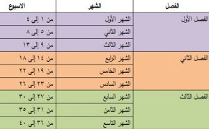 جدول الحمل الاسبوعي | موسوعة الشرق الأوسط