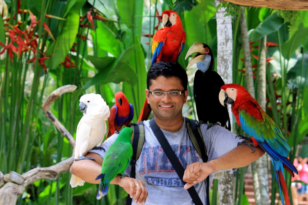 حديقة الطيور بالي Bali Bird Park | موسوعة الشرق الأوسط