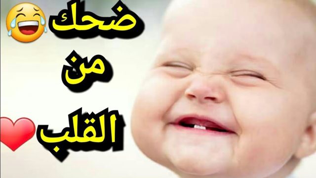 حكمة اليوم مضحكة | موسوعة الشرق الأوسط