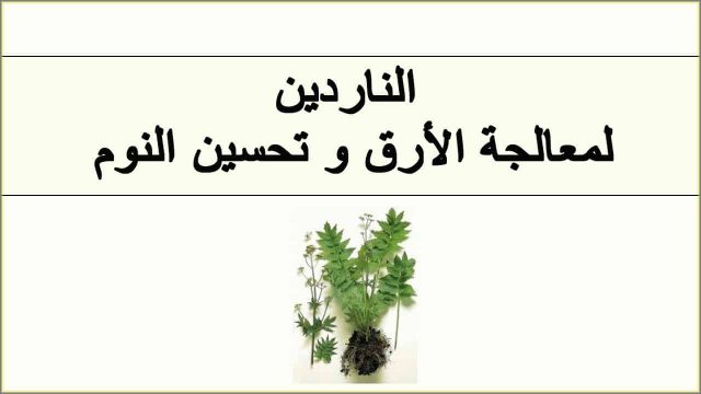 دواء للنوم بالاعشاب | موسوعة الشرق الأوسط