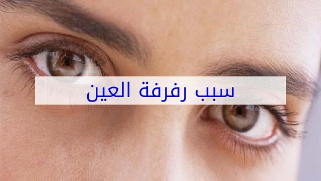 رفرفة العين اليسرى 1 | موسوعة الشرق الأوسط