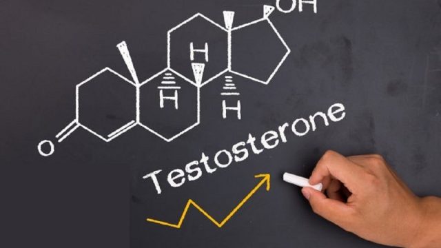 زيادة هرمون التستوستيرون | موسوعة الشرق الأوسط