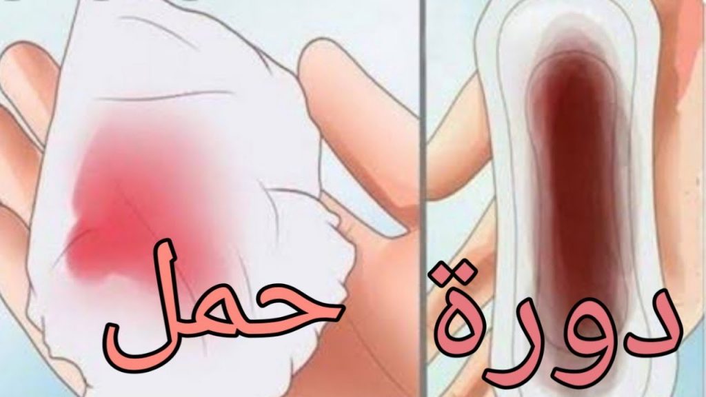 سل | موسوعة الشرق الأوسط