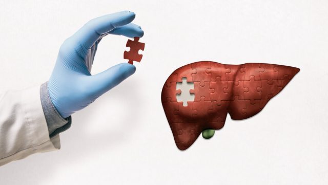 شروط زراعة الكبد ومتى يمكن التبرع به | موسوعة الشرق الأوسط