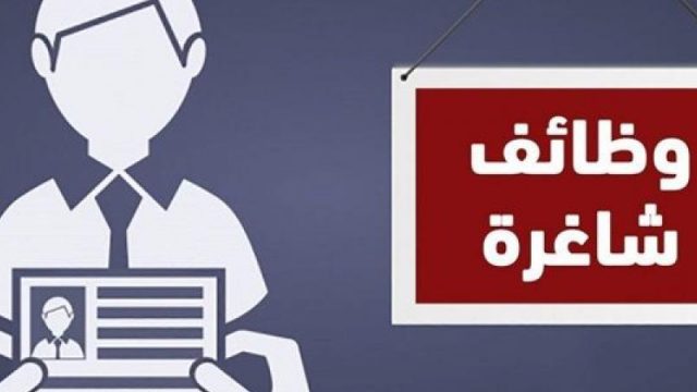 شروط وضوابط التقديم في وظائف النساء بوزارة المالية | موسوعة الشرق الأوسط