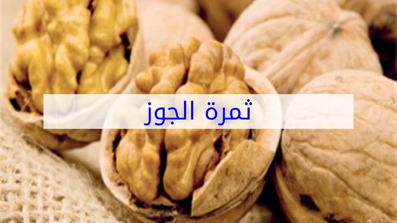 شكل ثمرة الجوز | موسوعة الشرق الأوسط