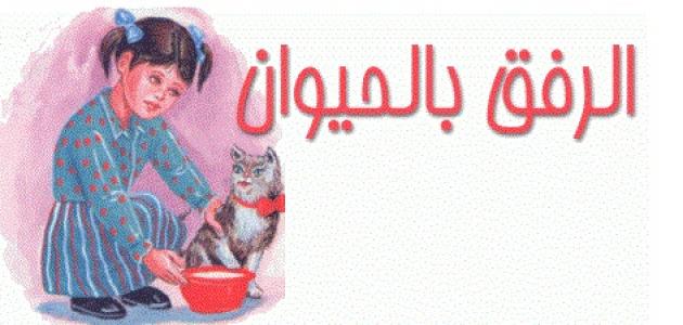 صور عن الرفق بالحيوان1 | موسوعة الشرق الأوسط