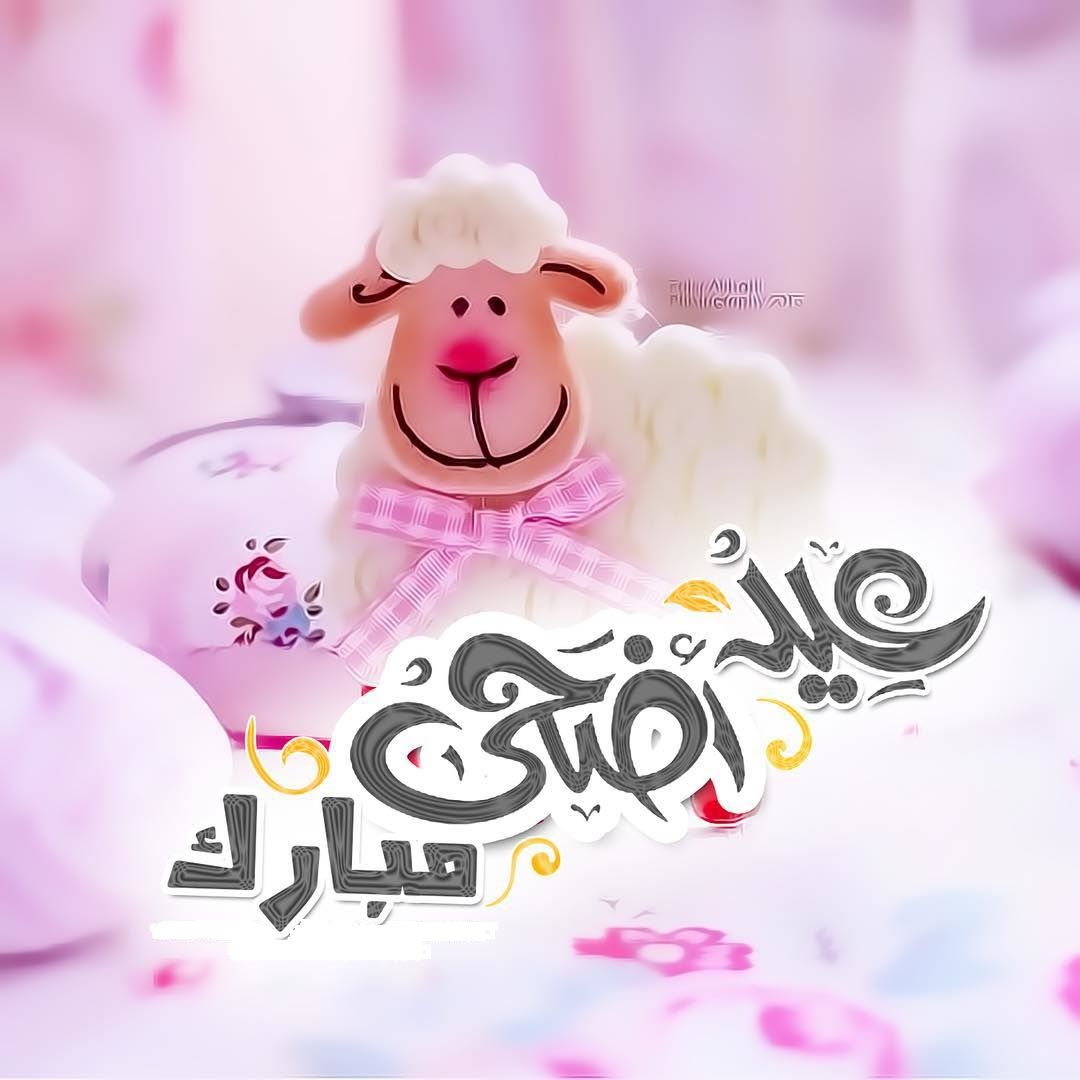 صور عيد الاضحي9 | موسوعة الشرق الأوسط