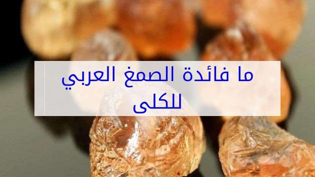 طريقة استعمال الصمغ العربي للكلى | موسوعة الشرق الأوسط