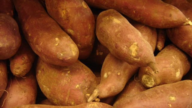 طريقة رجيم البطاطا الحلوة | موسوعة الشرق الأوسط