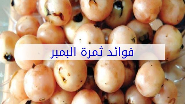 فوائد البمبر | موسوعة الشرق الأوسط