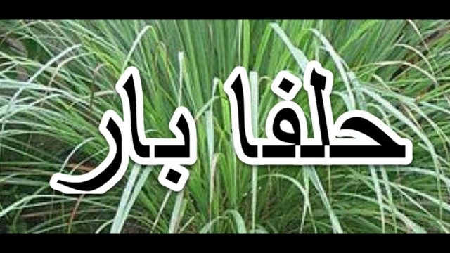 فوائد الحلف | موسوعة الشرق الأوسط