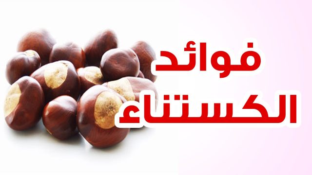 فوائد الكستنا | موسوعة الشرق الأوسط