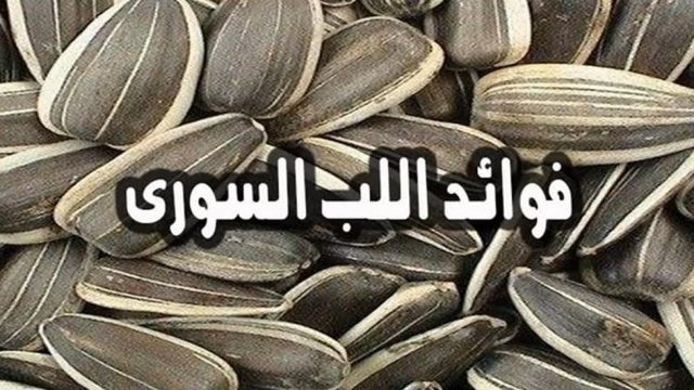 فوائد اللب السوري | موسوعة الشرق الأوسط