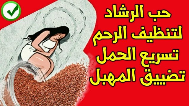 فوائد حب الرشاد للرحم | موسوعة الشرق الأوسط