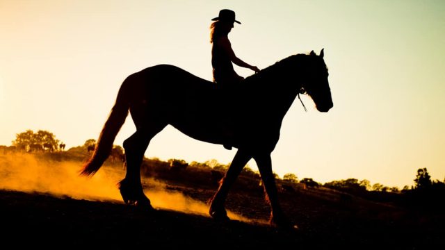 فوائد ركوب الخيل للجنس | موسوعة الشرق الأوسط