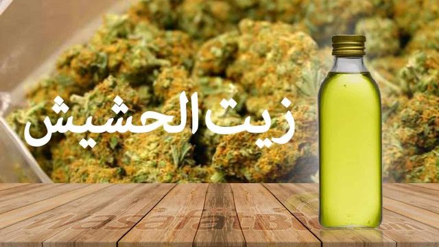 فوائد زيت الحشيش الافغاني | موسوعة الشرق الأوسط