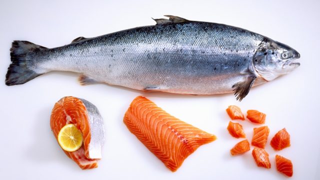 فوائد سمك السلمون للرجال | موسوعة الشرق الأوسط
