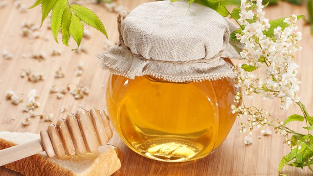 فوائد عسل الشفلح للكلى | موسوعة الشرق الأوسط