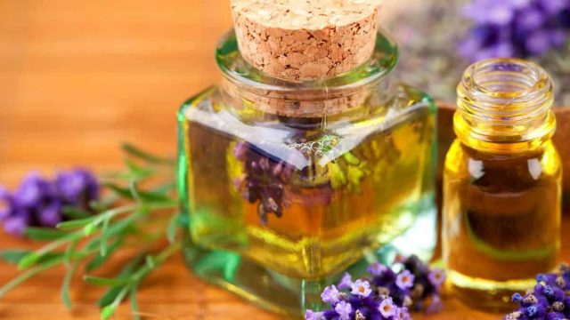 فوائد عطرة المدينة | موسوعة الشرق الأوسط