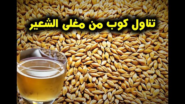 فوايد الشعير | موسوعة الشرق الأوسط